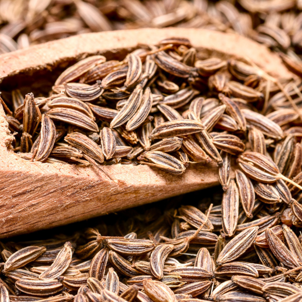 CARRAWAY SEEDS WHOLE